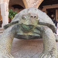 proroga_mostra_ivan_theimer