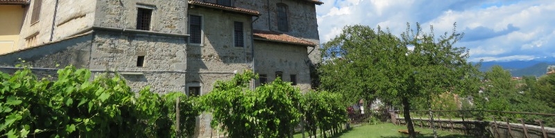 Dall'uva dei Longobardi al vino delle Orsoline
